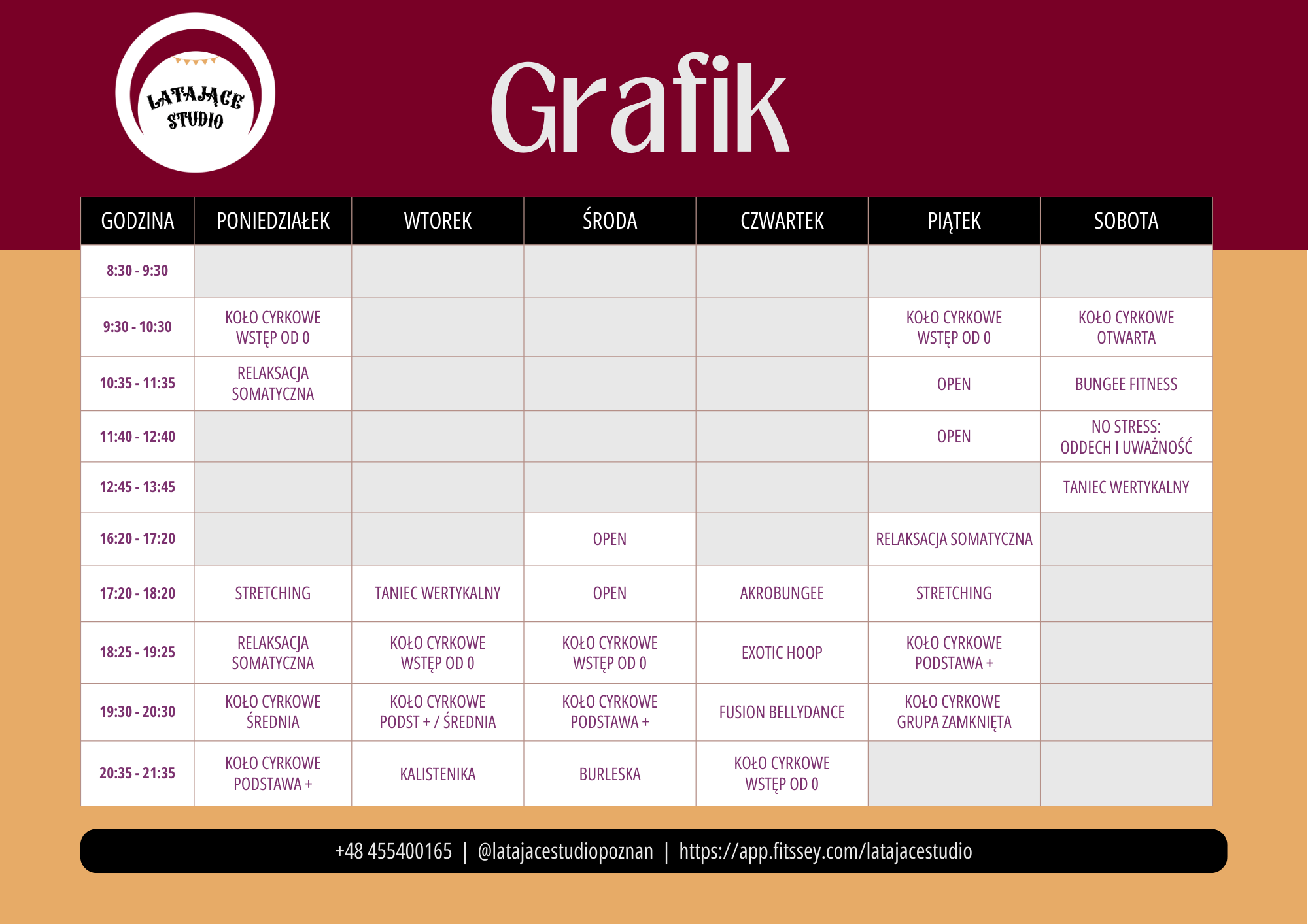 grafik aerial hoop bungee fitness relaksacja somatyczna zajęcia poznań akrobatyka powietrzna taniec wertykalny stretching tribal fusion bellydance burleska zajęcia oddechowe kalistenika