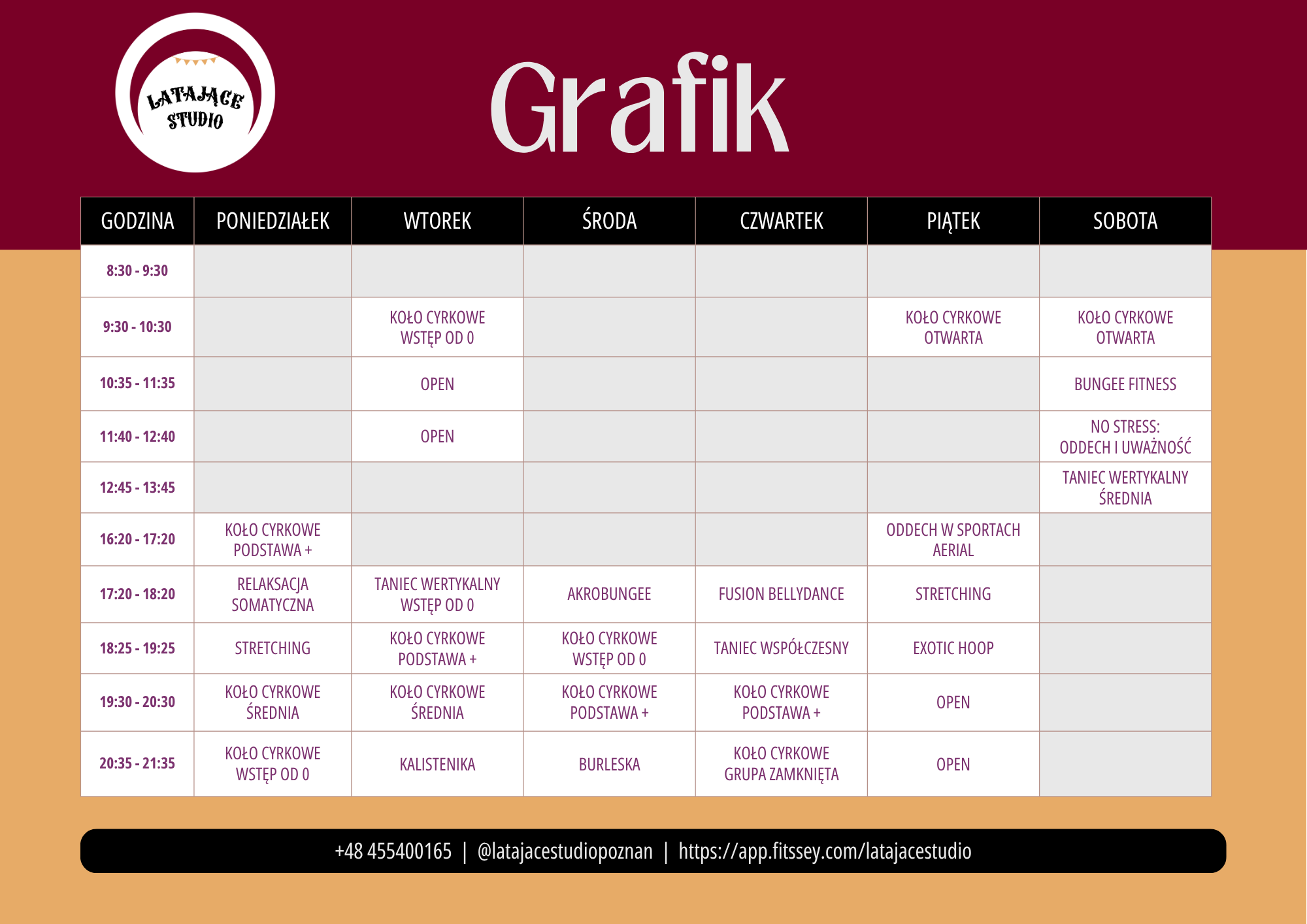 grafik aerial hoop bungee fitness relaksacja somatyczna zajęcia poznań akrobatyka powietrzna taniec wertykalny stretching tribal fusion bellydance burleska zajęcia oddechowe kalistenika